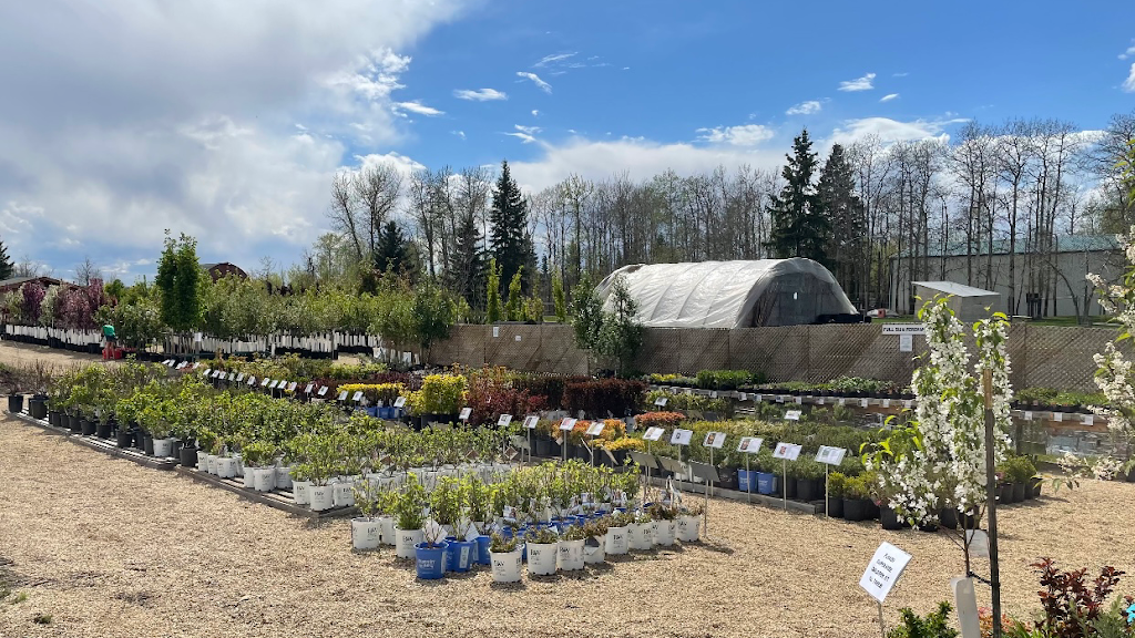 Sherwood Nurseries | 22040 Township Rd 522, Sherwood Park, AB T8E 1G2, Canada | Phone: (587) 409-4442