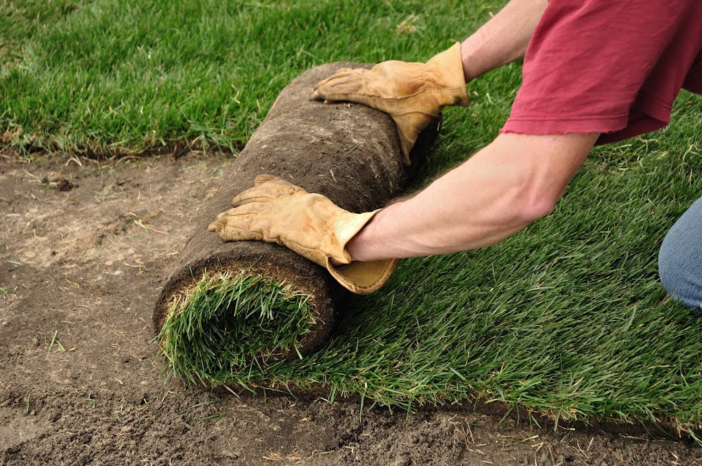 East Coast Turf Ltd. | 537 Charles Lutes Rd, Lutes Mountain, NB E1G 2T5, Canada | Phone: (506) 855-1282