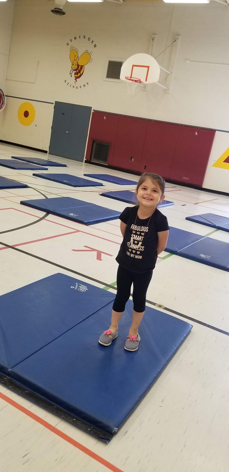 Arthur Stringer Public School | 43 Shaftesbury Ave, London, ON N6C 2Y5, Canada | Phone: (519) 452-8030