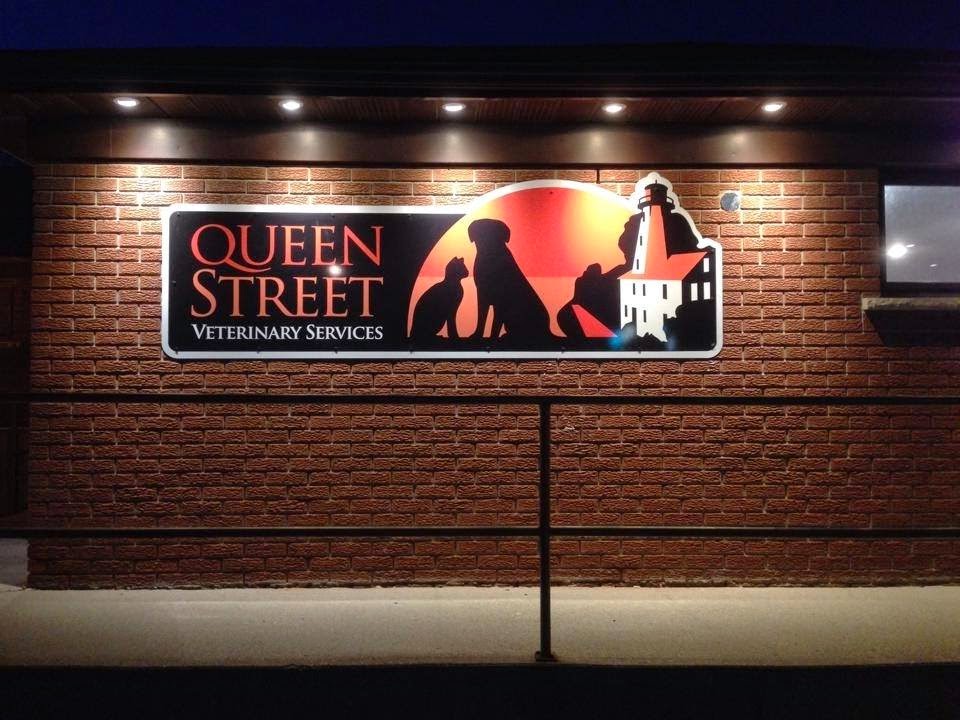 Queen Street Veterinary Services | 1004 Queen St, Kincardine, ON N2Z 1E3, Canada | Phone: (519) 396-3647