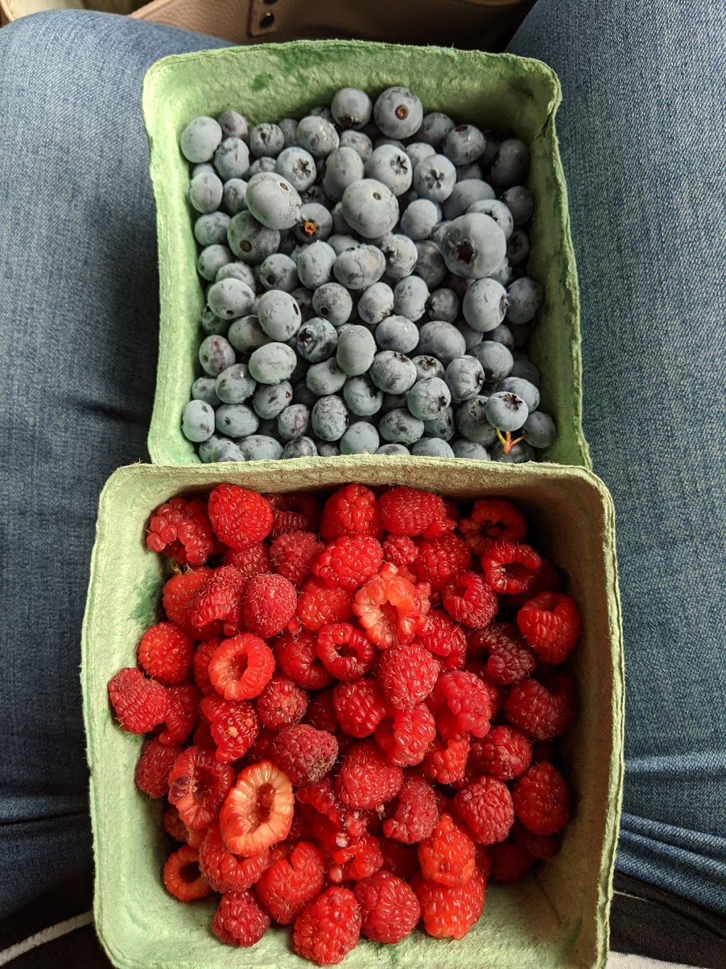 Bayfield Berry Farm | 77697 Orchard Line, Bayfield, ON N0M 1G0, Canada | Phone: (519) 482-1666