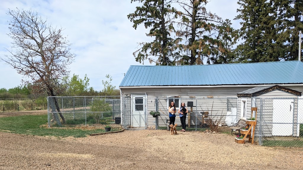 Very Important Pets Boarding Kennel & Grooming Salon | R. R. # 1, Halkirk, AB T0C 1M0, Canada | Phone: (403) 740-4833