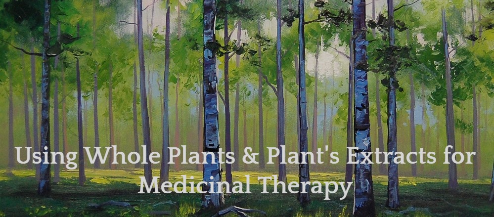 Dibrova Holistic Health INC | 309 6th St #200, New Westminster, BC V3L 3A7, Canada | Phone: (778) 952-5532