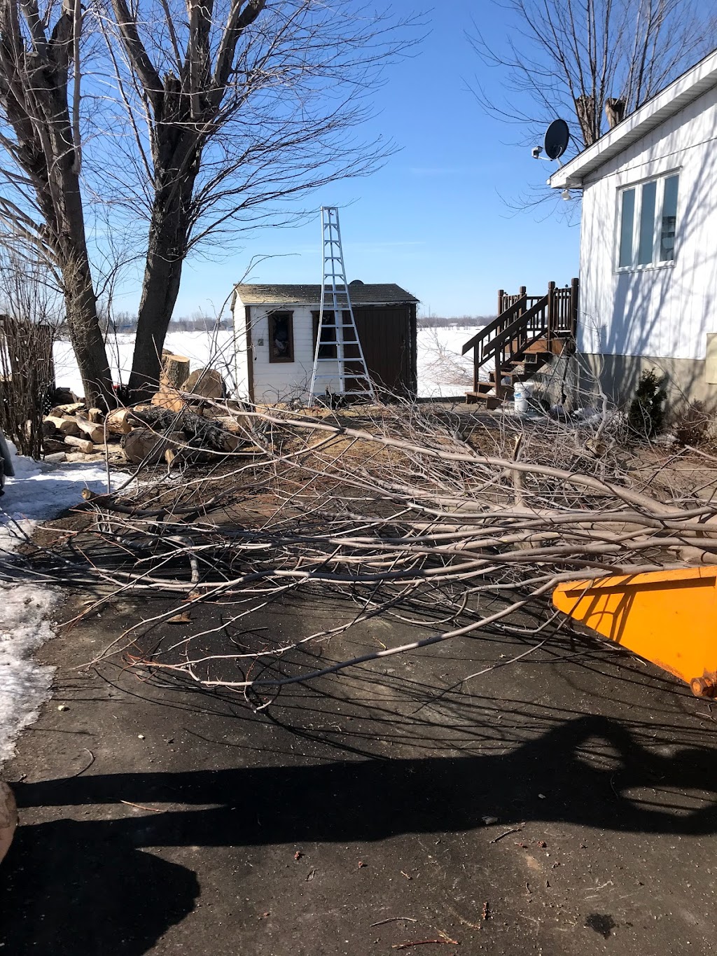 Services D’arbre Expert | 101 Terr. Miron, Lavaltrie, QC J5T 1B7, Canada | Phone: (514) 829-1890