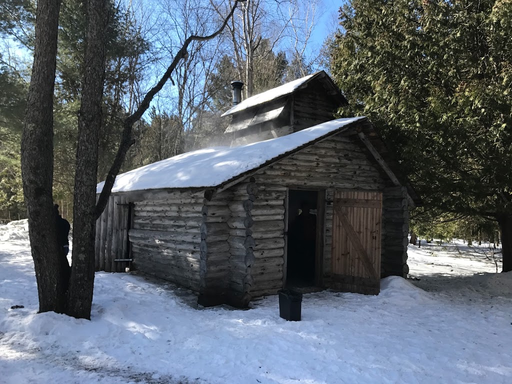 Ganaraska Forest Centre | 10585 Cold Springs Camp Rd, Campbellcroft, ON L0A 1B0, Canada | Phone: (905) 885-8173