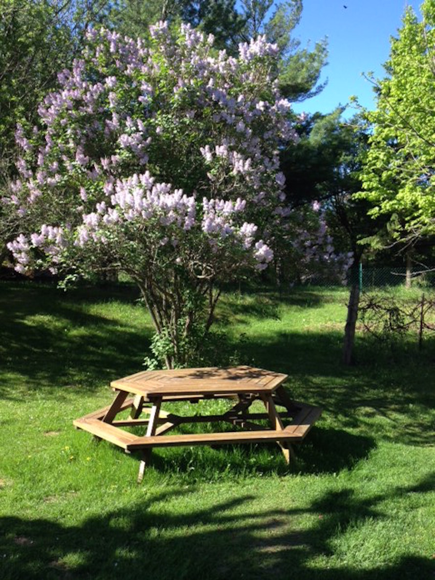 The Farmers Walk Bed and Breakfast | 833345 4 Line E, Orangeville, ON L9W 5Z4, Canada | Phone: (519) 942-1775