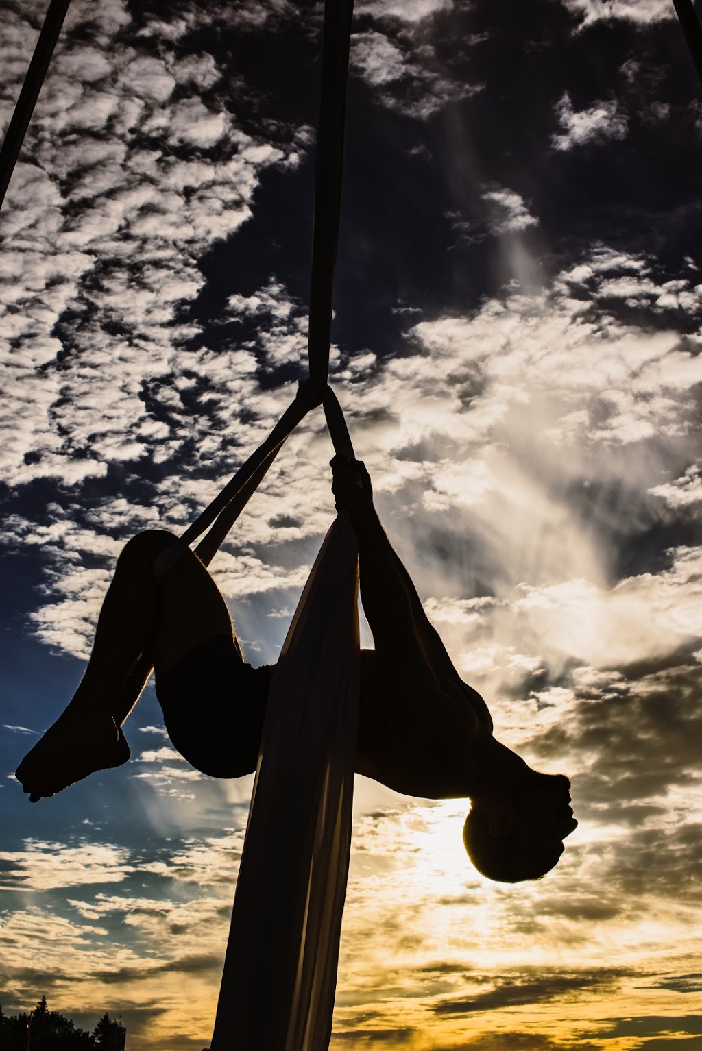 Collingwood Circus Club | 95 Sandford Fleming Dr, Collingwood, ON L9Y 5A6, Canada | Phone: (705) 444-9675