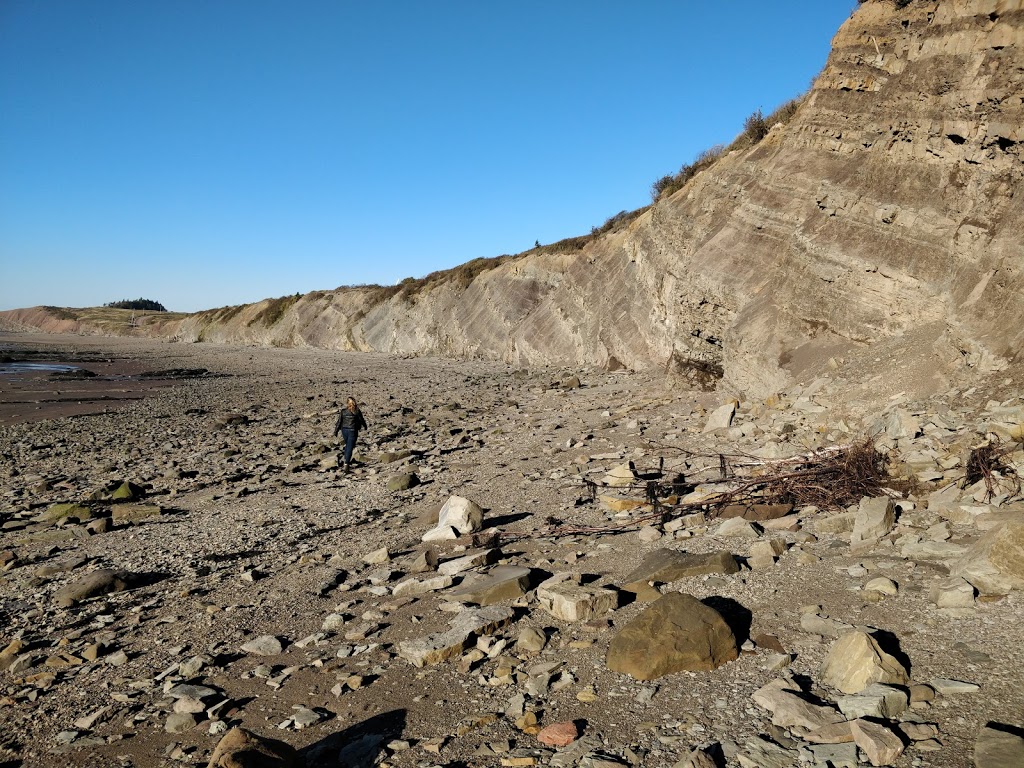 Joggins Fossil Cliffs | 100 Main St, Joggins, NS B0L 1A0, Canada | Phone: (902) 251-2727