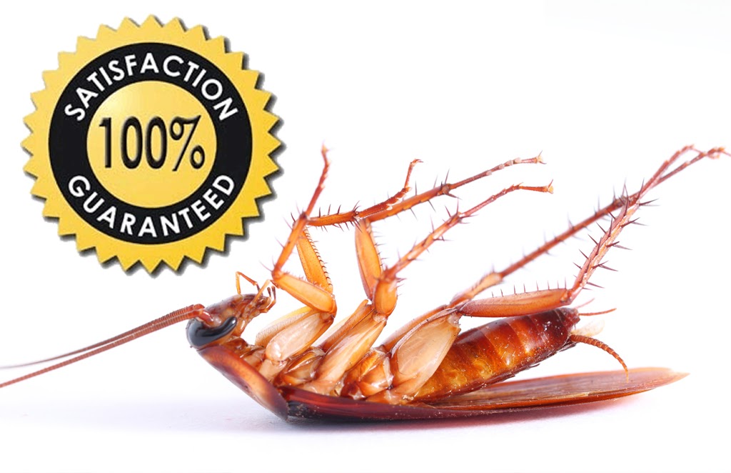 Integral XT Pest Control West Island | 2949 Rue Montcalm, Vaudreuil-Dorion, QC J7V 7W9, Canada | Phone: (855) 472-3352