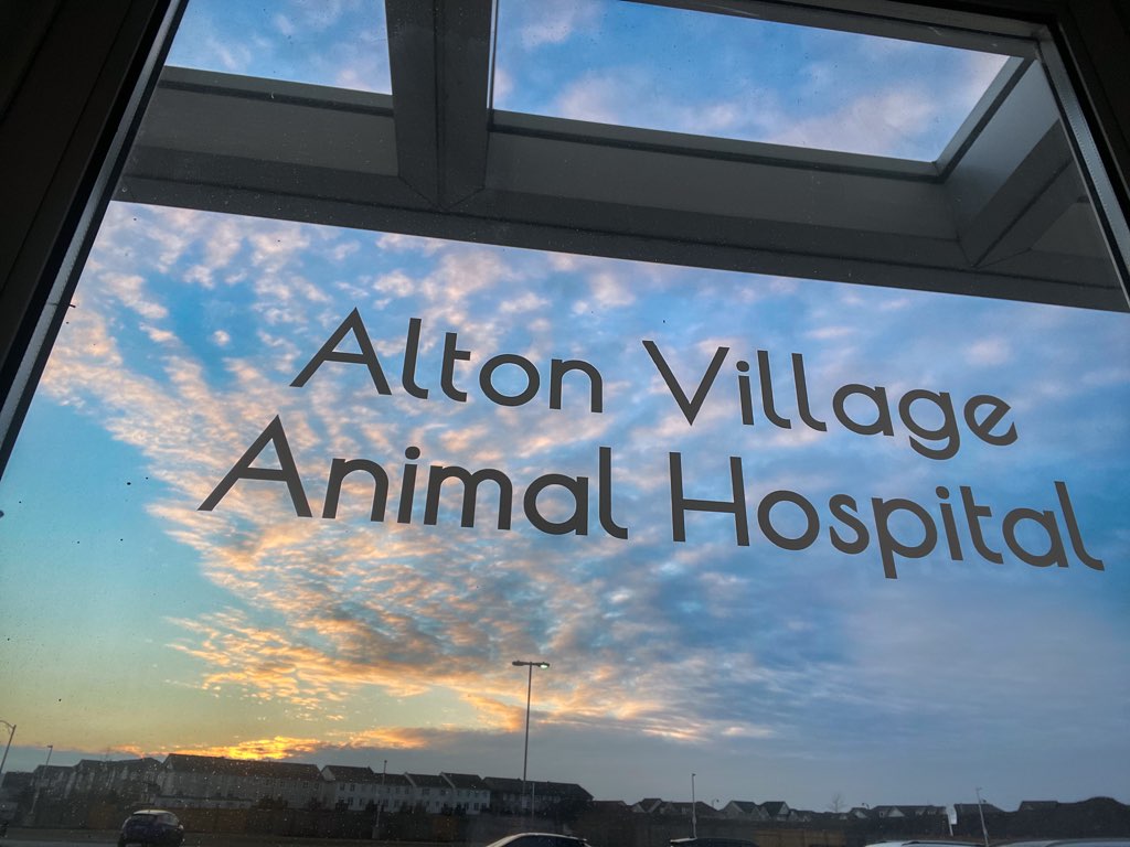 Alton Village Animal Hospital | 4900 Palladium Way, Burlington, ON L7M 0K9, Canada | Phone: (905) 635-0544