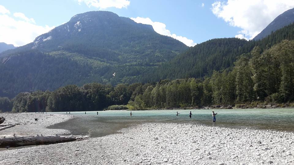Squamish Estuary | Squamish, BC, Canada