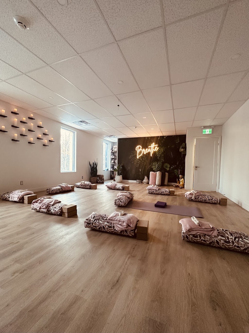 Coexist Yoga Studio | 2799 Côte Saint-Charles, Saint-Lazare, QC J7T 2J4, Canada | Phone: (514) 826-4241