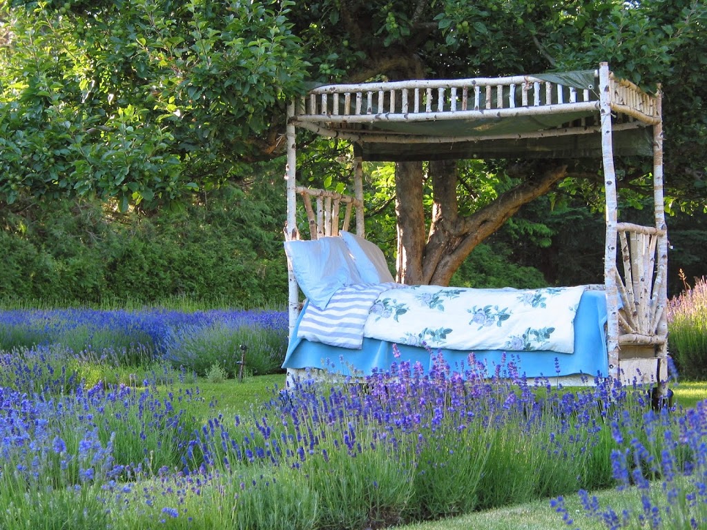 Happy Valley Lavender & Herbs | 3505 Happy Valley Rd, Victoria, BC V9C 2Y2, Canada | Phone: (250) 474-5767