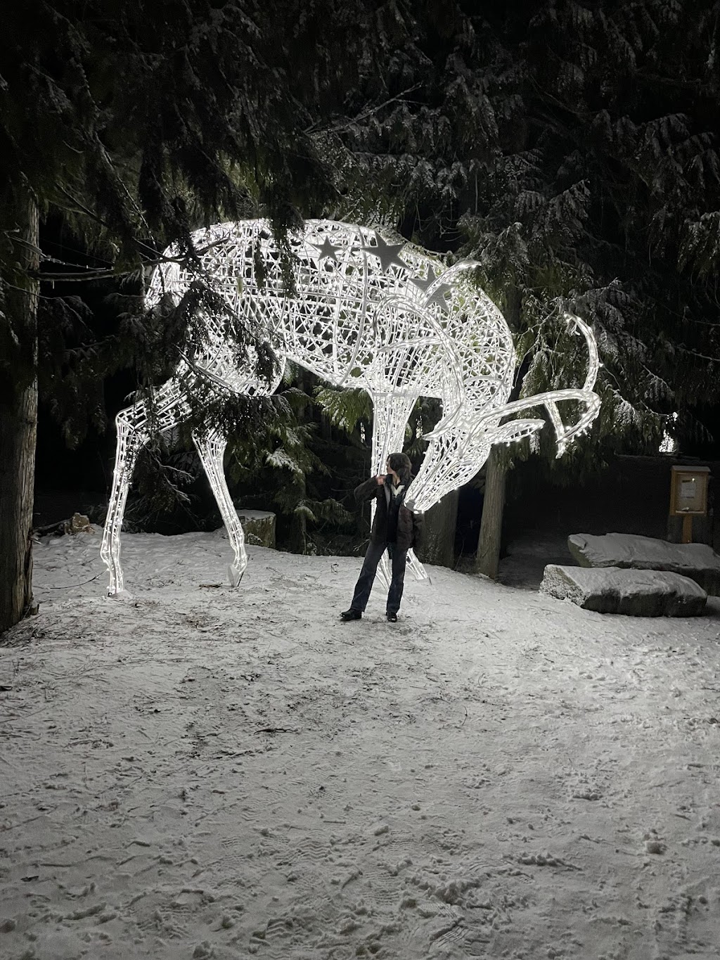 Glacier Lodge by Whistler Reception Services | 4573 Chateau Blvd, Whistler, BC V0N 1B4, Canada | Phone: (604) 932-0990