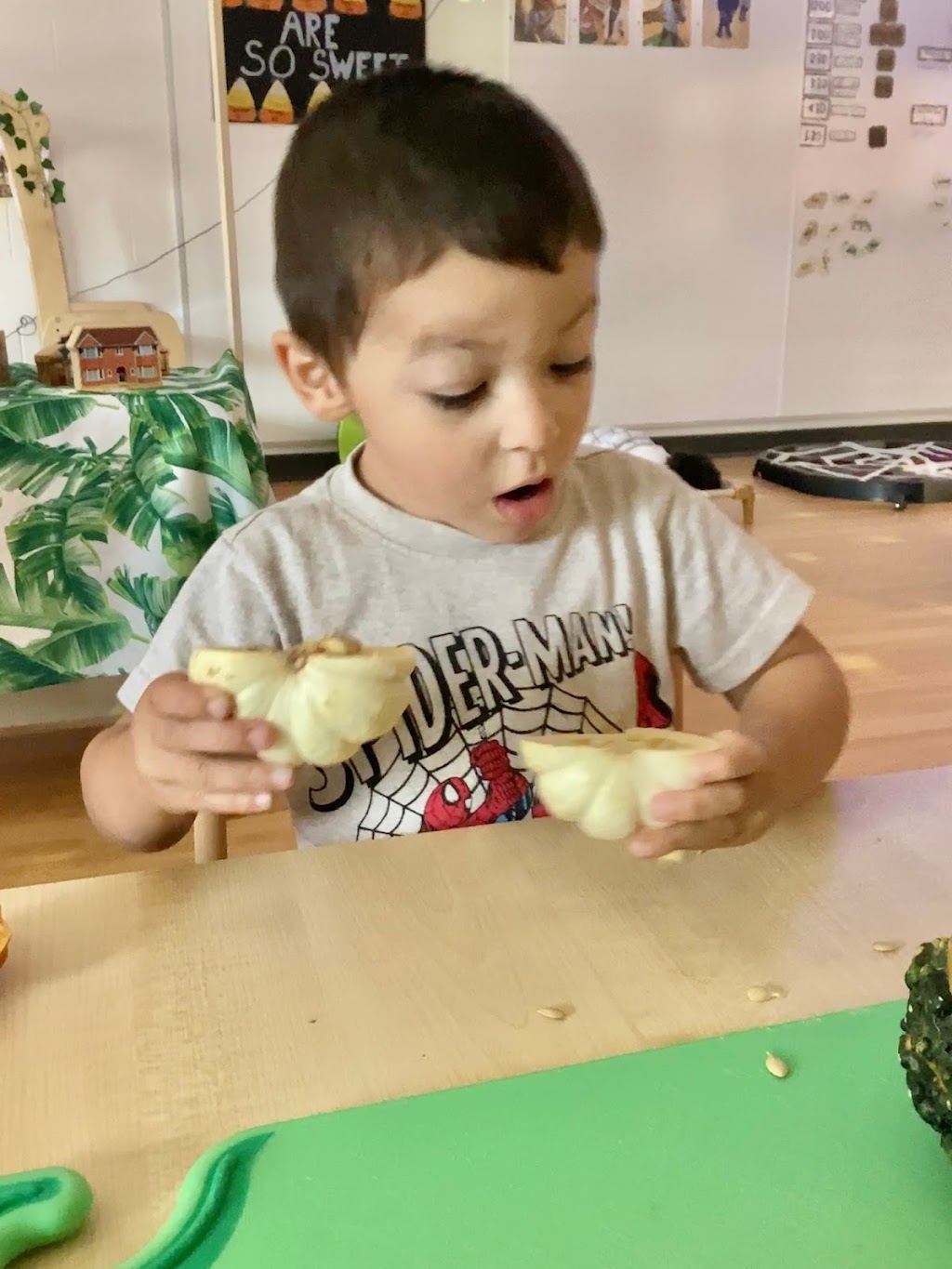 RisingOaks Early Learning | Oak Creek | Tartan Ave., Kitchener, ON N2R 1R7, Canada | Phone: (519) 893-7529
