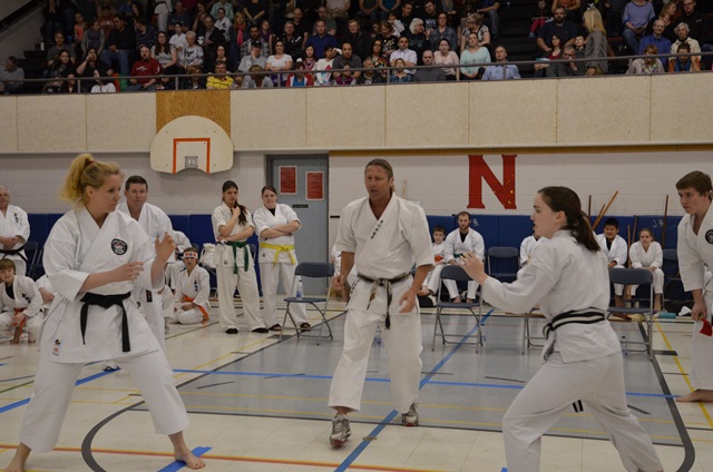 Elmira Karate Dojo | 60 Arthur St S, Elmira, ON N3B 2M9, Canada | Phone: (519) 669-3340