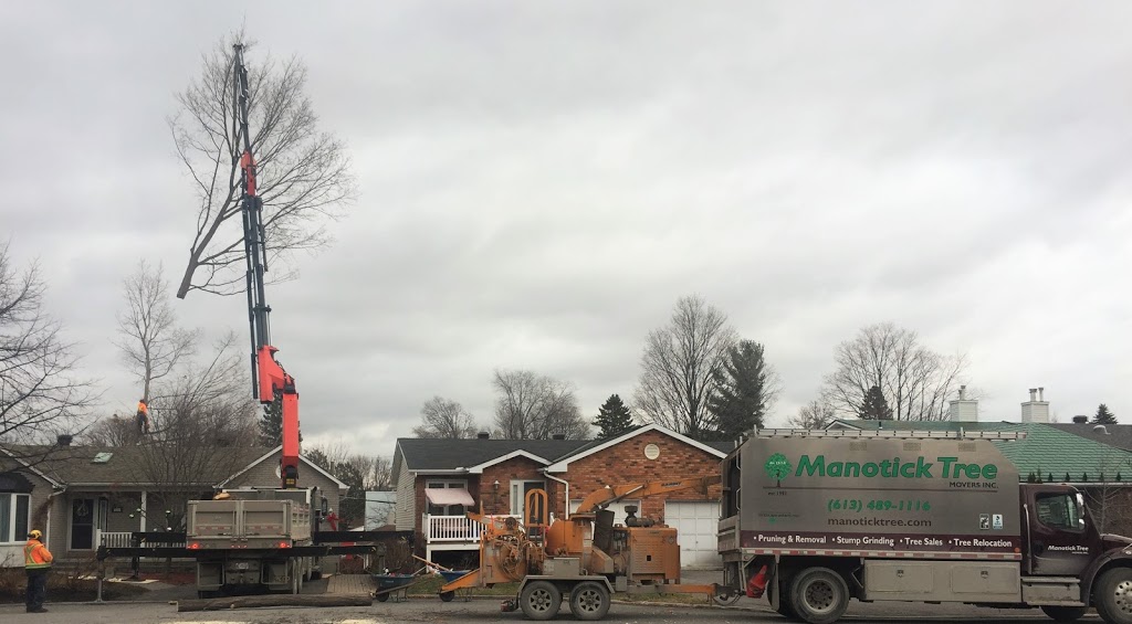 Manotick Tree Movers | 1966 Carsonby Rd W, North Gower, ON K0A 2T0, Canada | Phone: (613) 489-1116
