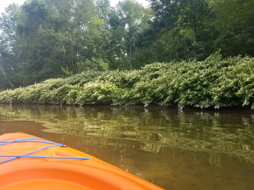 Eighteen Mile Creek-Lake | 6449 Lake Shore Rd #6445, Derby, NY 14047, USA
