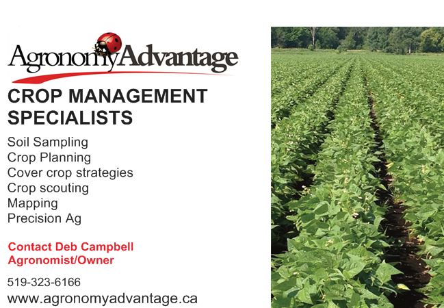Agronomy Advantage Inc. | 66 Main St E, Dundalk, ON N0C 1B0, Canada | Phone: (519) 323-6166
