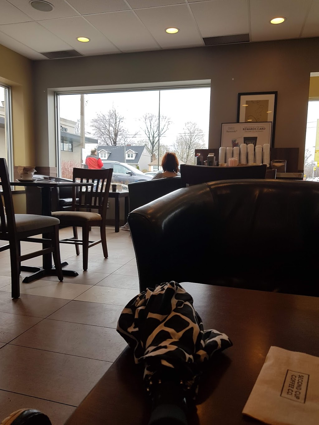 Second Cup | 1050 Islington Ave, Etobicoke, ON M8Z 4R6, Canada | Phone: (416) 233-9646