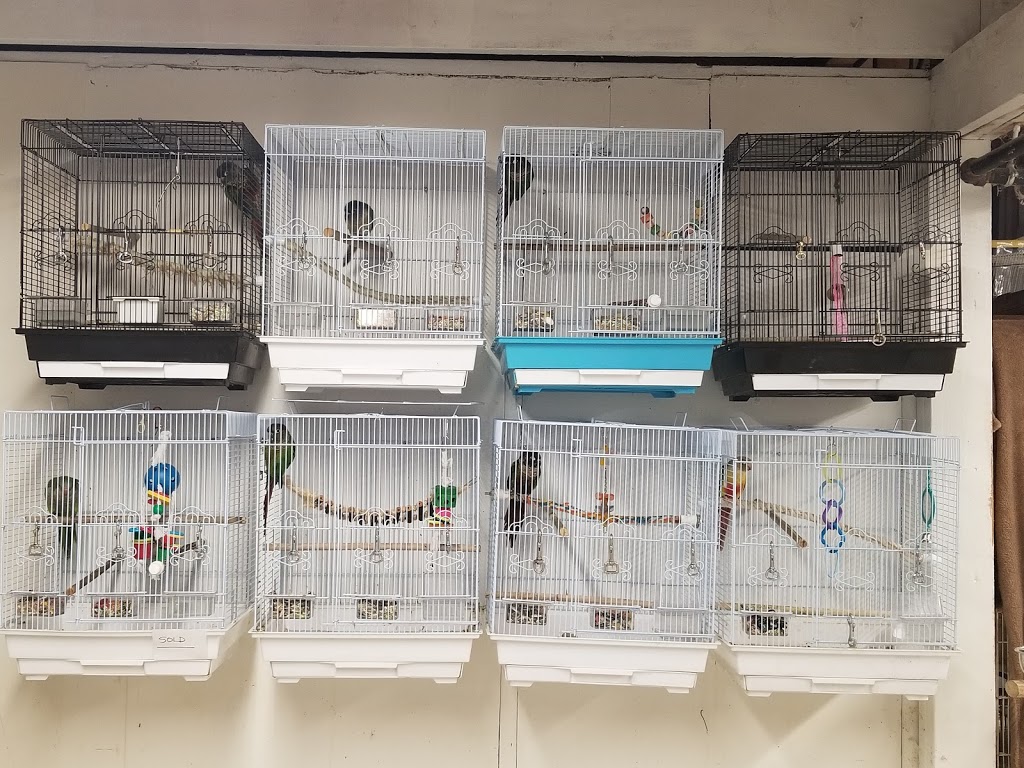 Vinces Pet Centre | 91 Friuli Ct, Woodbridge, ON L4L 7H2, Canada | Phone: (905) 856-0426
