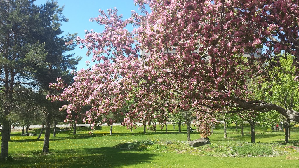 William Mosgrove Tower | 2881 Richmond Rd, Ottawa, ON K2B 8J5, Canada | Phone: (613) 820-2777