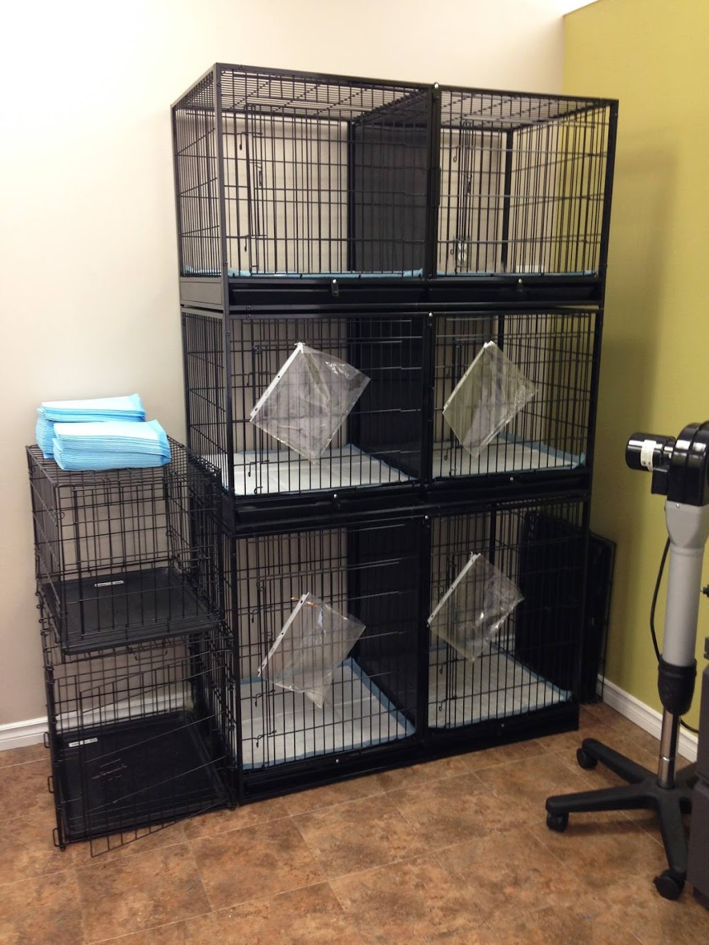 Uptown Pet Grooming | 250 Greenbank Rd, Nepean, ON K2H 8X4, Canada | Phone: (613) 695-2001