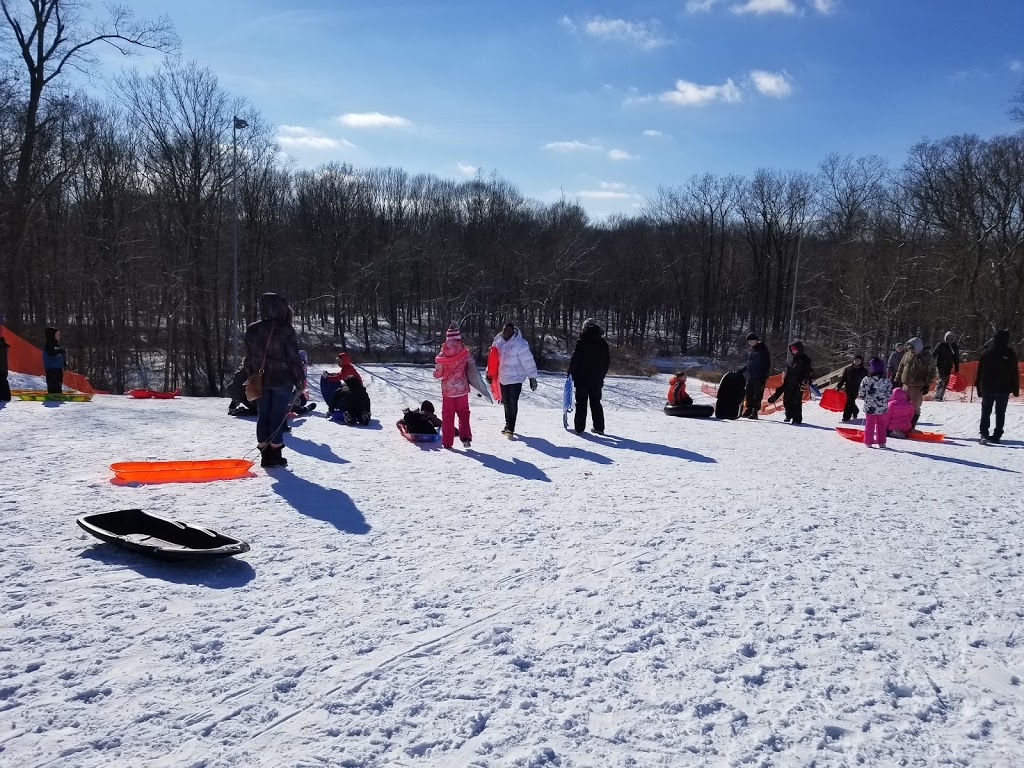 Columbus County Park Sledding Hill | 1378 Bauman Rd, Columbus, MI 48063, USA