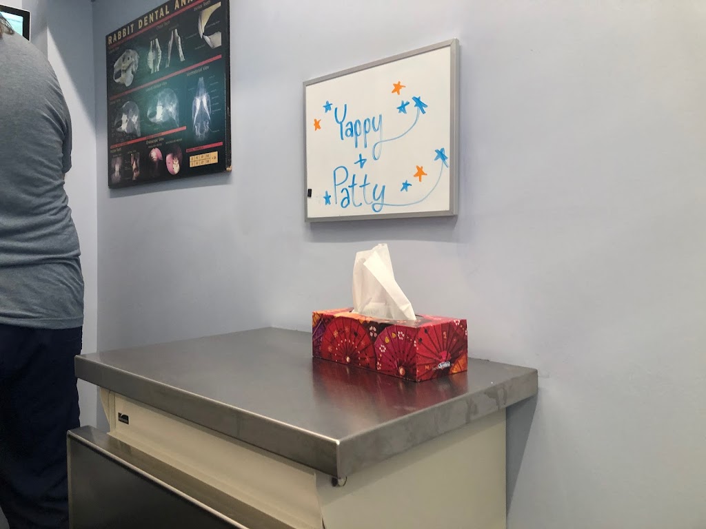 Jameson Queen Animal Hospital | 1516 Queen St W, Toronto, ON M6R 1A4, Canada | Phone: (647) 812-2627