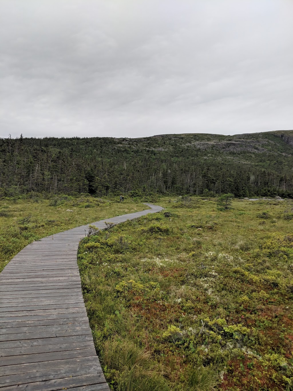 Butter Pot Provincial Park | Trans-Canada Hwy, Holyrood, NL A0A 2R0, Canada | Phone: (709) 685-1853