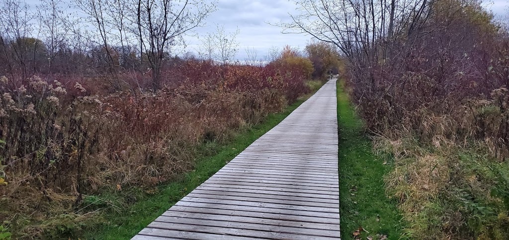 Friends of the National Wildlife Lac-Saint-François | 7600 Chemin de la Pointe-Fraser, Saint-Anicet, QC J0S 1L0, Canada | Phone: (450) 264-5908
