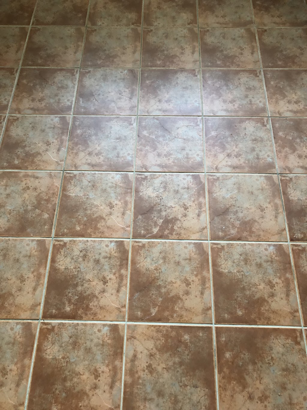 Go Green Cleaning | 152 Thicketwood Dr, Scarborough, ON M1J 2A3, Canada | Phone: (416) 820-9162