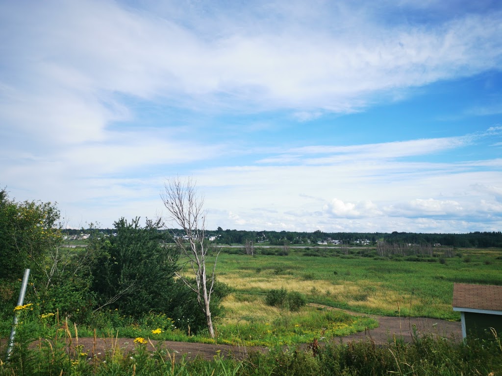 Parc Codiac Heights Park | 100 Olympic Crescent, Moncton, NB E1E 4B9, Canada | Phone: (506) 853-3516