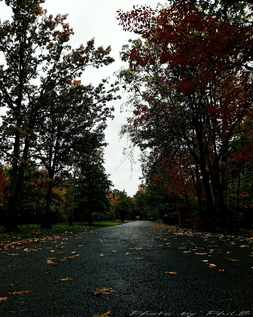 Four Mile Creek State Park | 1055 Lake Rd, Youngstown, NY 14174, USA | Phone: (716) 745-3802