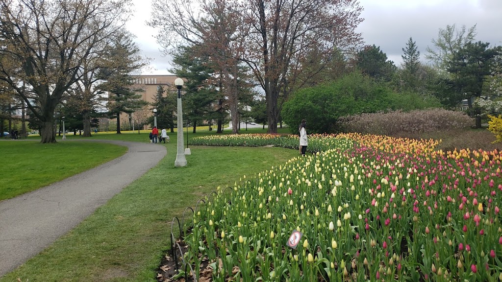 Dows Lake Pavilion | 1001 Queen Elizabeth Driveway, Ottawa, ON K1S 5K7, Canada | Phone: (613) 232-1001