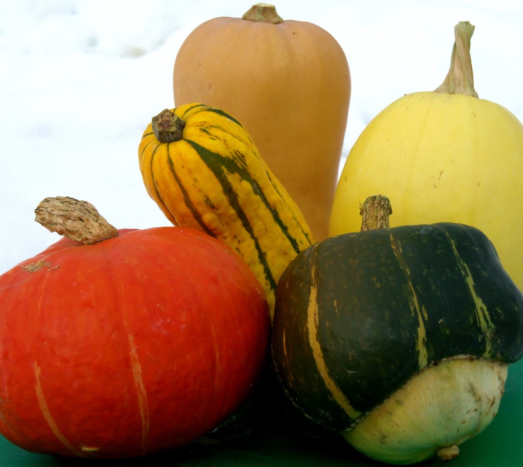 Wild Flight Farm | 205 Rosemond Lake Rd, Mara, BC V0E 2K0, Canada | Phone: (250) 838-7447