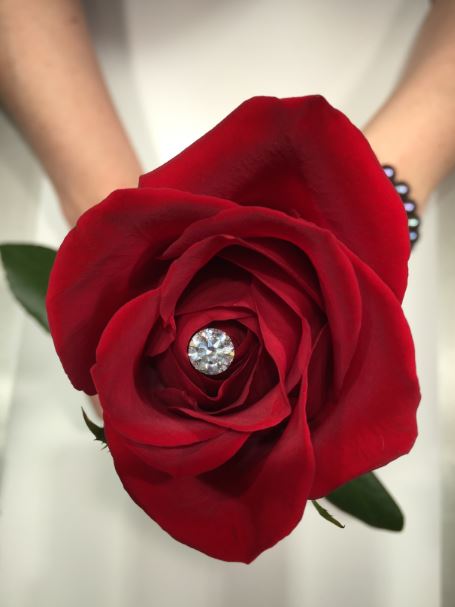 D.M. Reid Jewellers Ltd. | 395 Main St, Kentville, NS B4N 1K7, Canada | Phone: (902) 678-6686