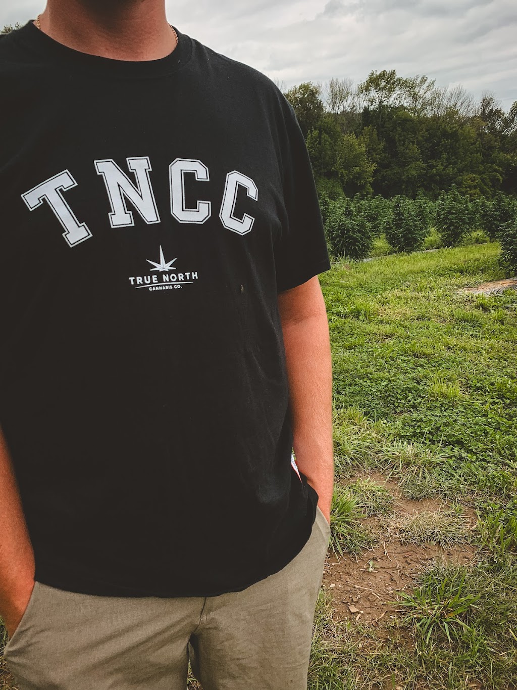 True North Cannabis Co - Brighton Dispensary | 43 Main St, Brighton, ON K0K 1H0, Canada | Phone: (613) 475-2424