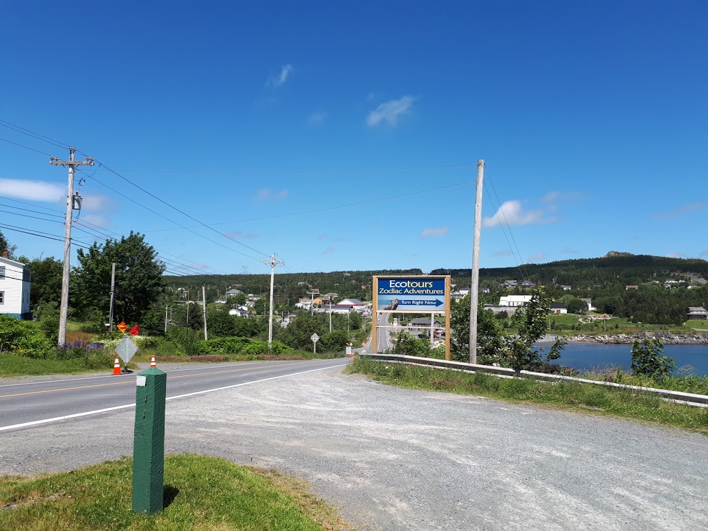 Ecotours Zodiac Adventures | Lower Loop Rd, Witless Bay, NL A0A 4K0, Canada | Phone: (709) 330-8687
