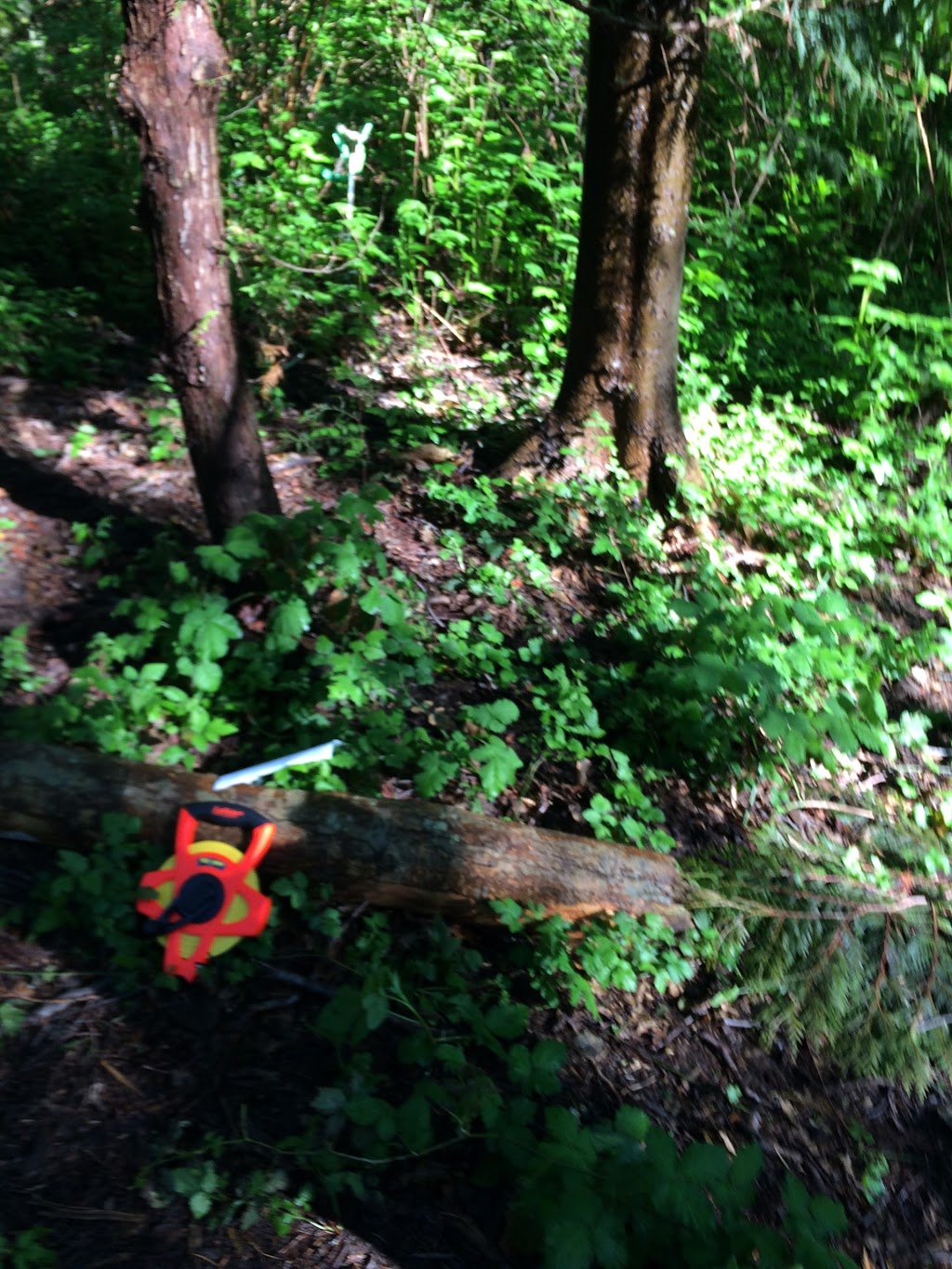 Pebble Hill Park | 404 Milsom Wynd, Delta, BC V4M 3R1, Canada