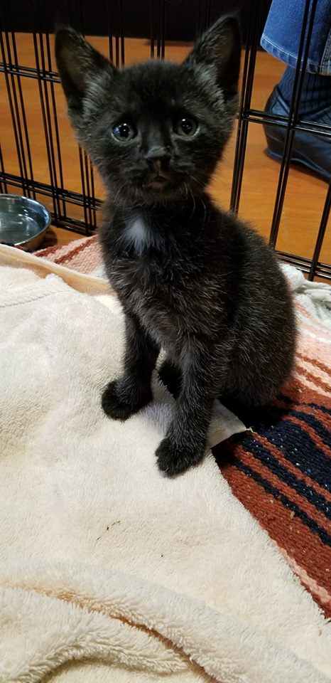 Bosleys by Pet Valu | 2306 BC-6 #210, Vernon, BC V1T 7E3, Canada | Phone: (250) 558-0566