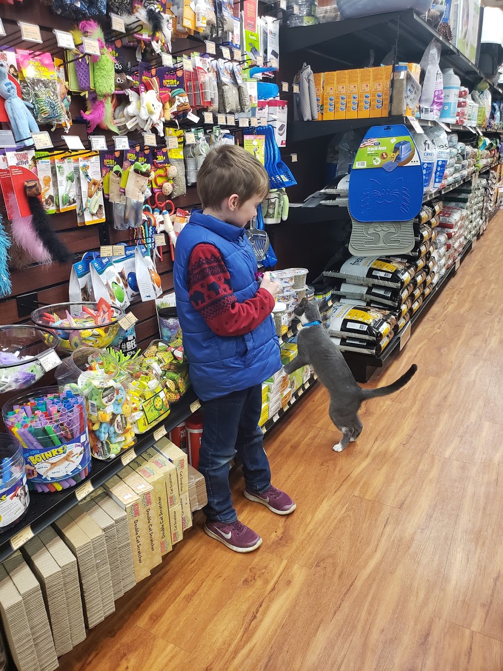 Pet Valu | 3714 Portage Rd, Niagara Falls, ON L2J 2K8, Canada | Phone: (905) 354-7444
