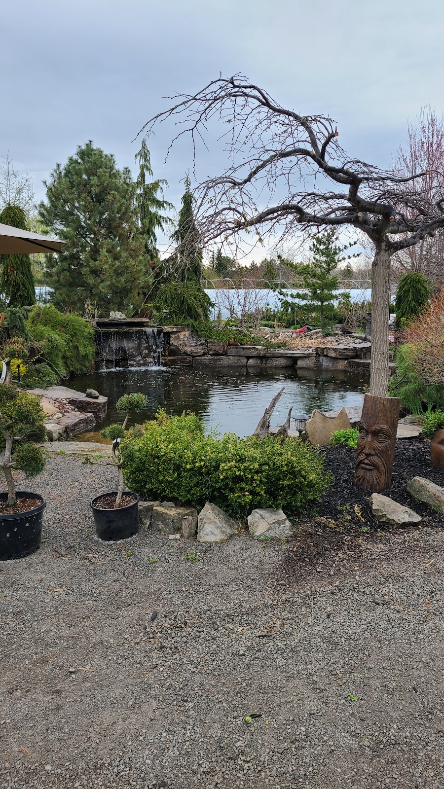The Potting Shed | 44 Haldimand County Rd 17, Dunnville, ON N1A 2W4, Canada | Phone: (289) 738-0665
