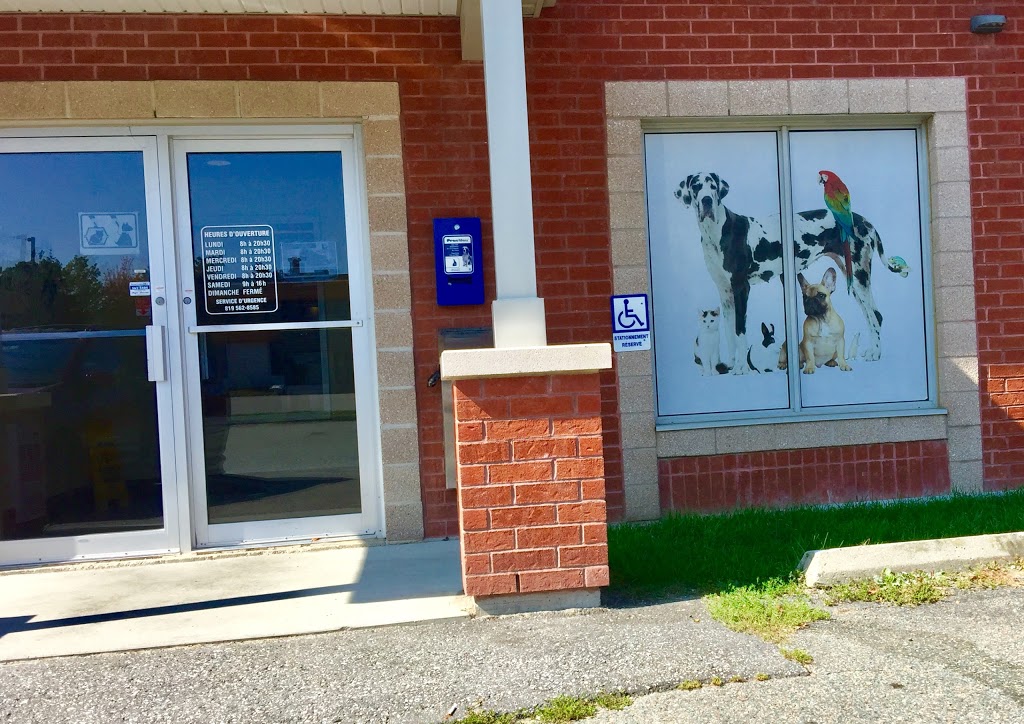 Veterinary Hospital De LEstrie | 2736 Rue Galt O, Sherbrooke, QC J1K 2V8, Canada | Phone: (819) 562-8585