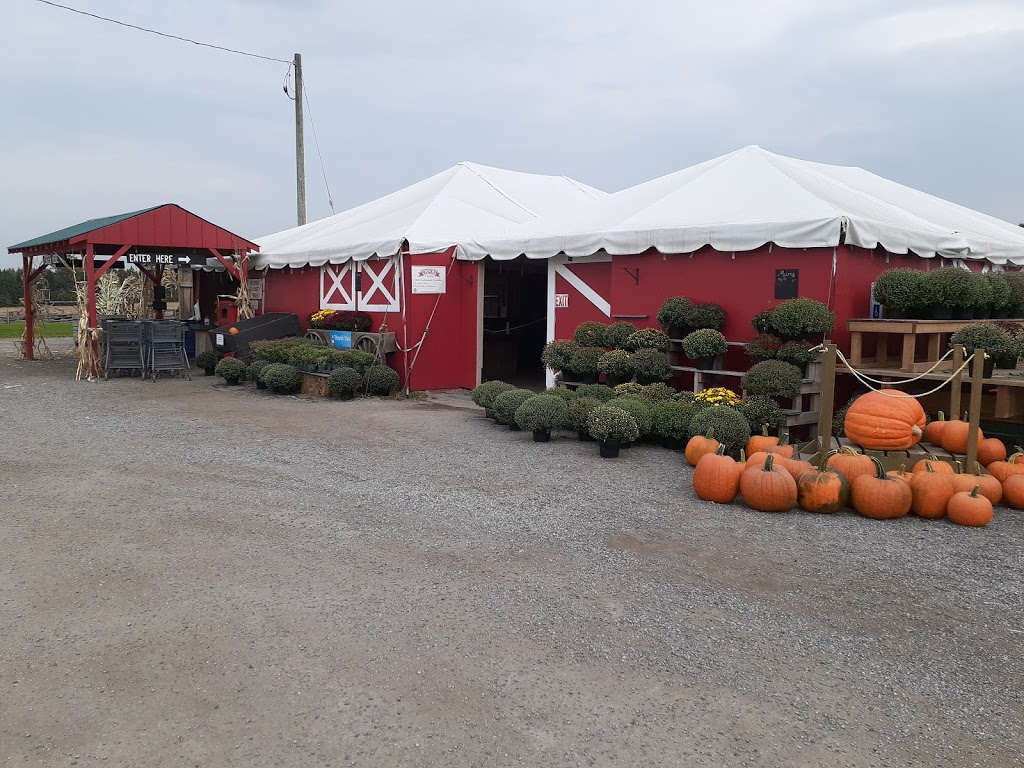 Strawberry Creek Farm Market | 17471 Woodbine Ave, Newmarket, ON L3Y 4W1, Canada | Phone: (905) 868-9996