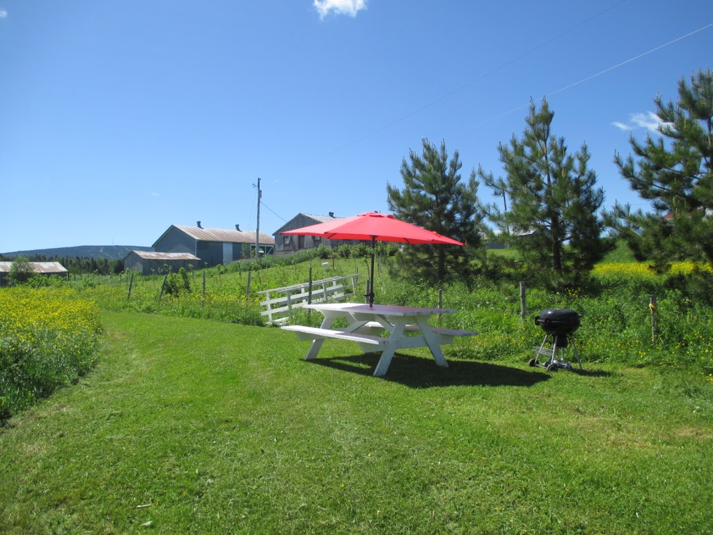 Domaine La Charmante | 142 QC-216, Saint-Paul-de-Montminy, QC G0R 3Y0, Canada | Phone: (581) 332-1029