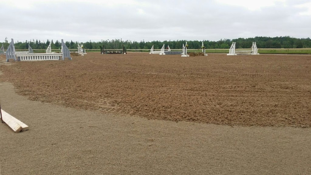 Meadowlarke Stables | 5154 3 Line, Acton, ON L7J 2L8, Canada | Phone: (800) 295-0419