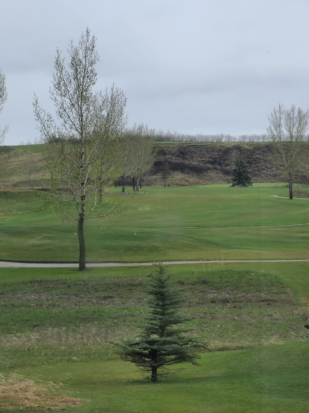 Three Hills Golf Club | 242022 Twp Rd 314, Three Hills, AB T0M 2A0, Canada | Phone: (403) 443-5065