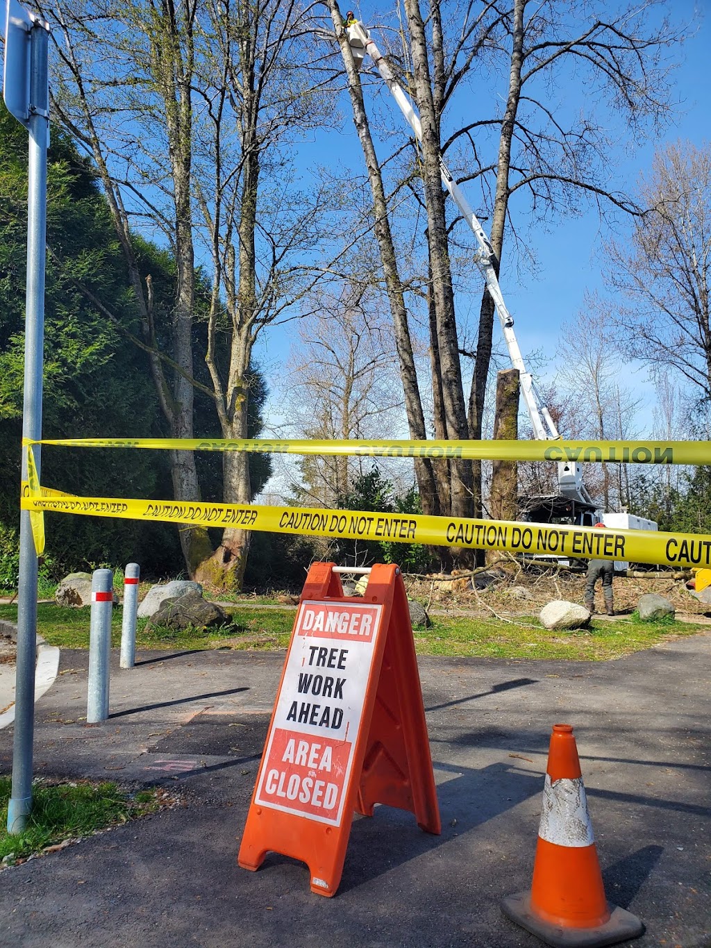 Apex Tree Services | 145 E Kensington Rd, North Vancouver, BC V7N 1P2, Canada | Phone: (778) 839-3430
