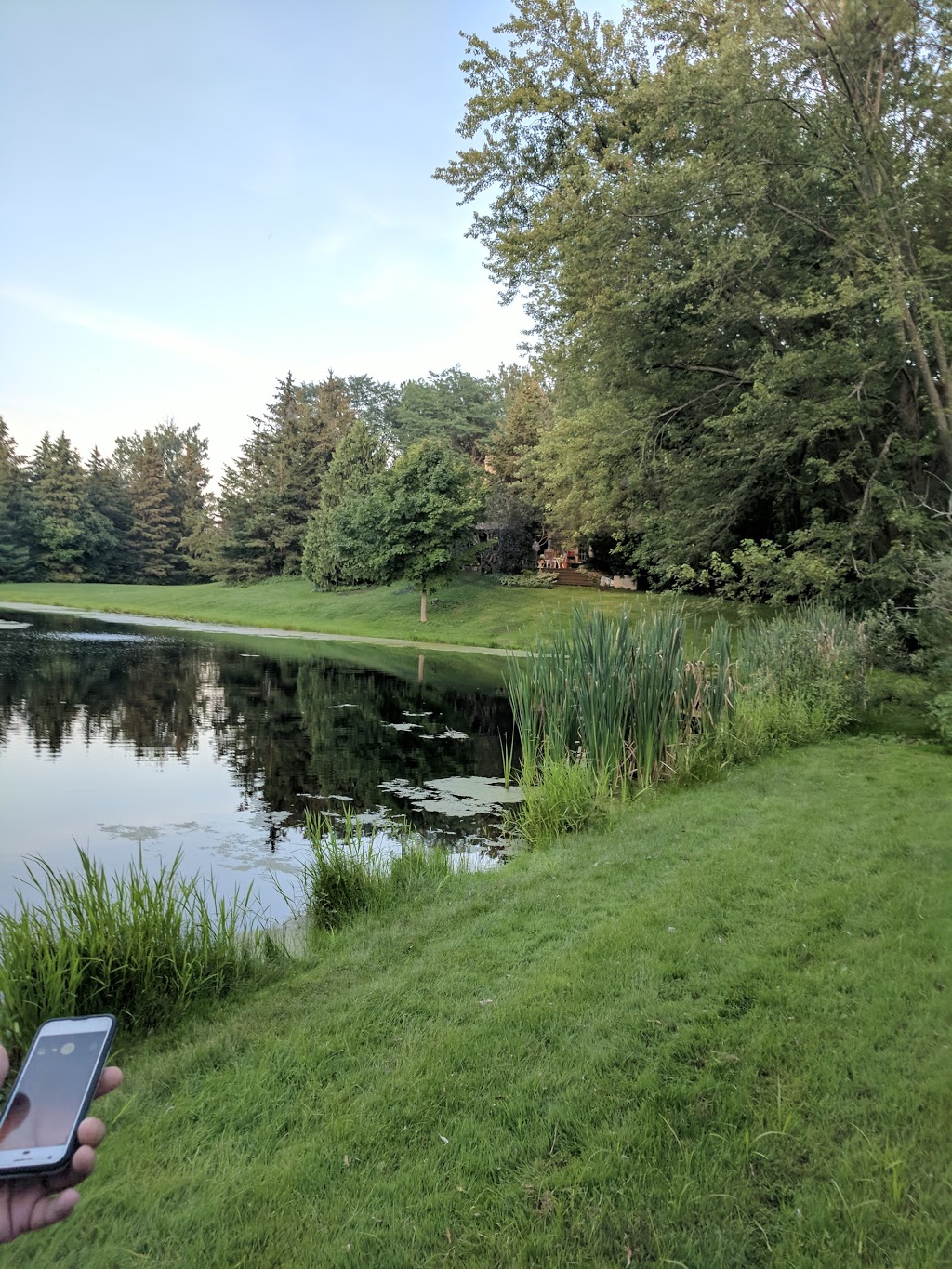 MapleGreen Tree Services | 58 Palmer Cir, Bolton, ON L7E 0A5, Canada | Phone: (416) 951-0487